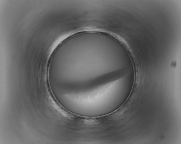 X0000113111231200909111108