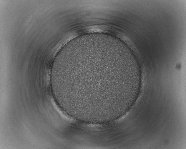 X0000113111233200909111108