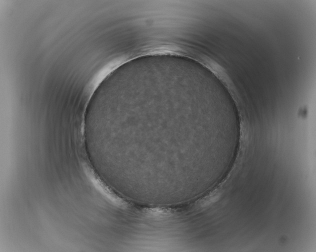 X0000113111234200909111108