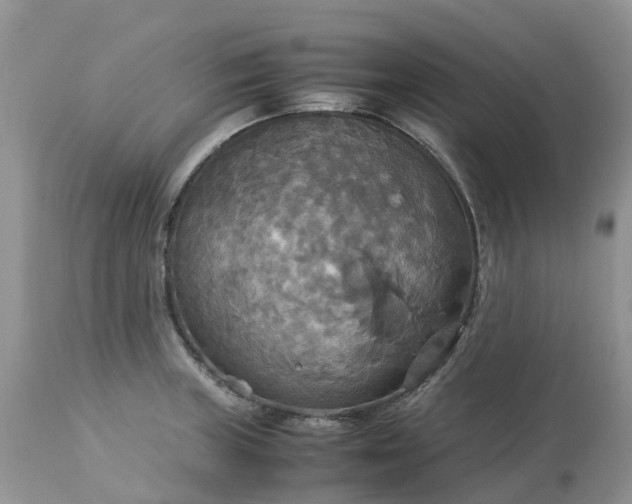 X0000113111235200909111108