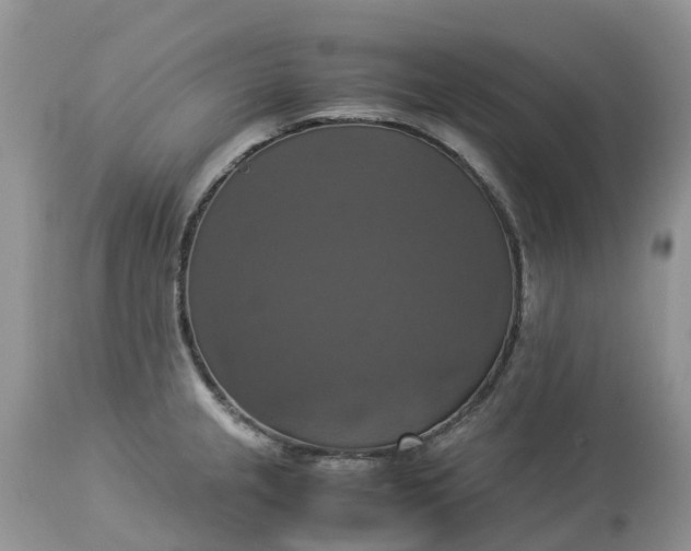 X0000113111237200909111108