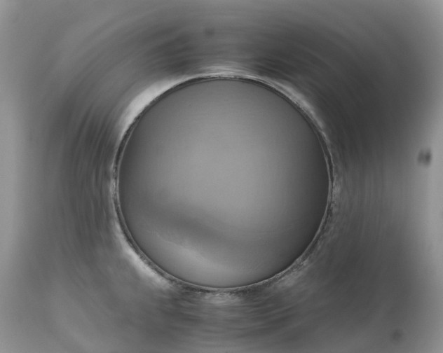 X0000113111239200909111108
