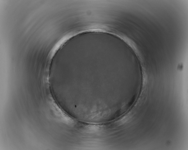 X0000113111240200909111108