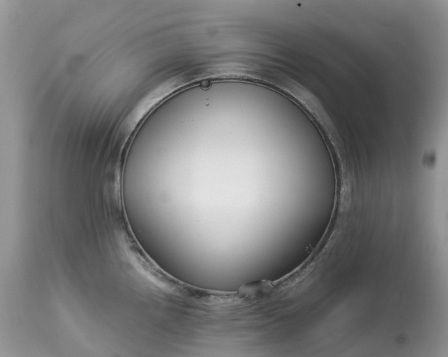 X0000113111242200909111108