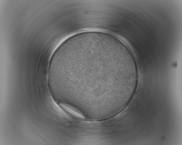 X0000113111244200909111108