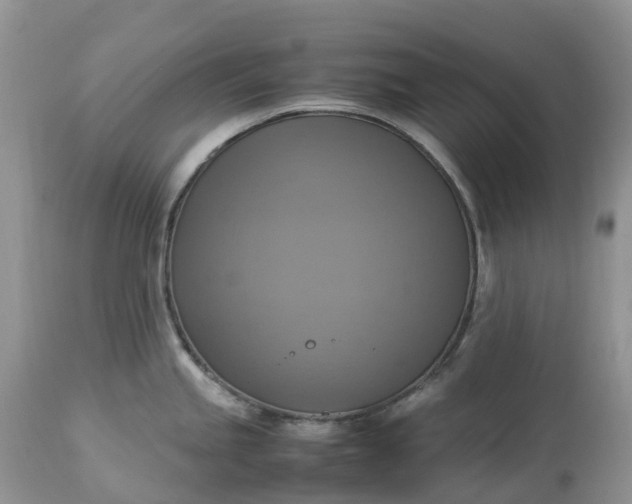 X0000113111245200909111108