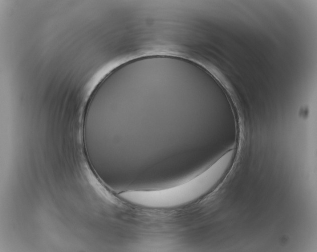 X0000113111246200909111108