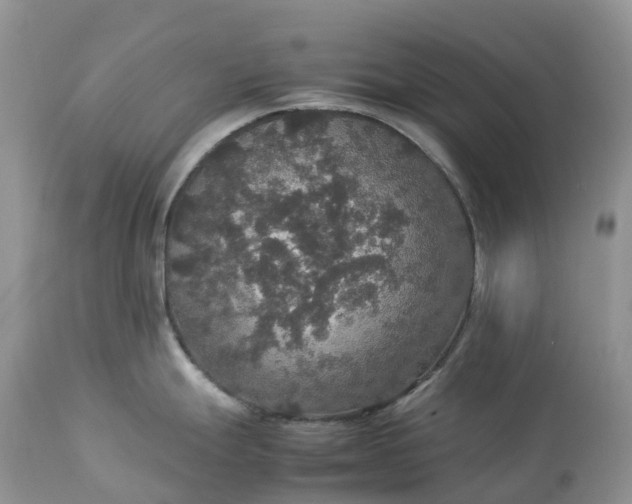 X0000113111247200909111108