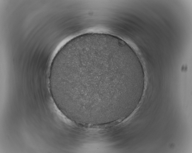 X0000113111248200909111108