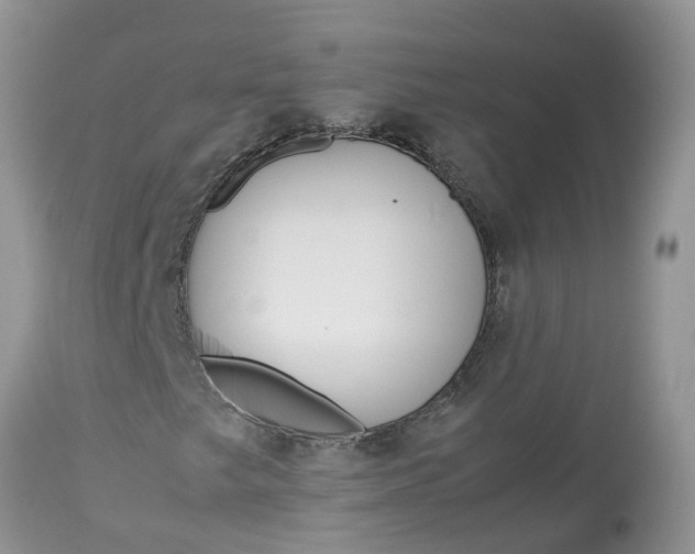 X0000113111249200909111107