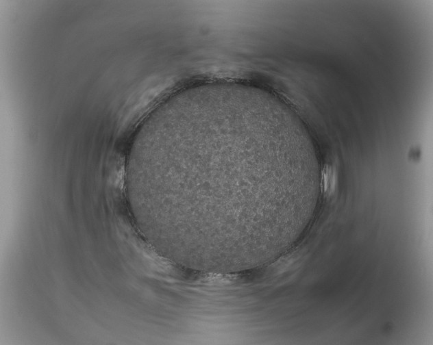 X0000113111251200909111107
