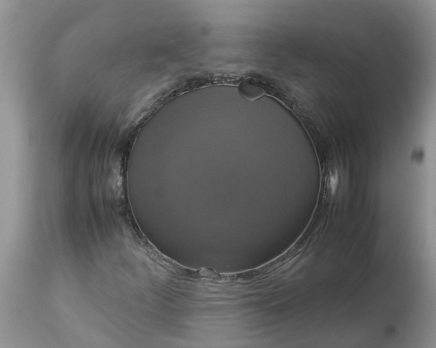 X0000113111252200909111107