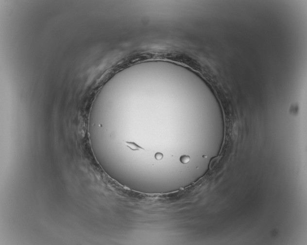 X0000113111253200909111107