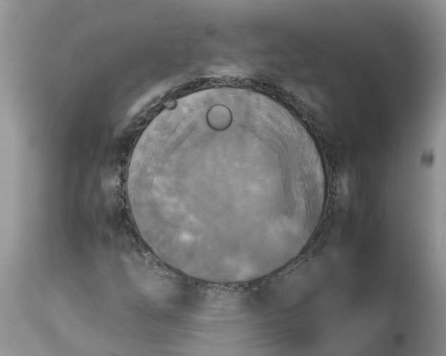 X0000113111254200909111107