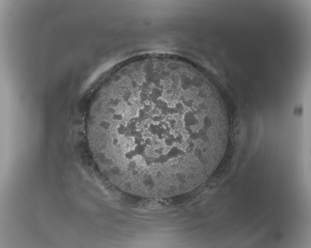 X0000113111255200909111107
