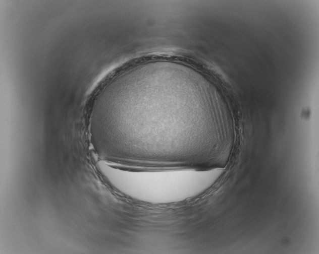 X0000113111256200909111107
