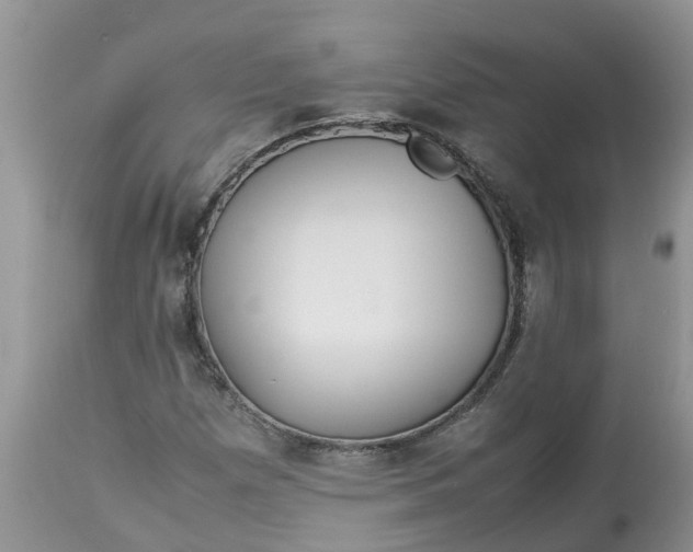 X0000113111257200909111107