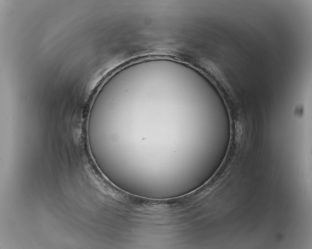 X0000113111260200909111107