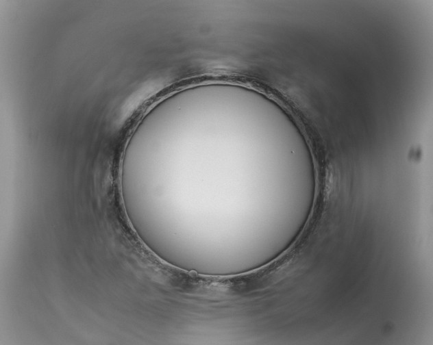 X0000113111261200909111107