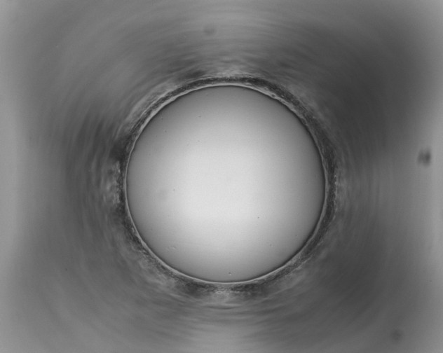 X0000113111265200909111107
