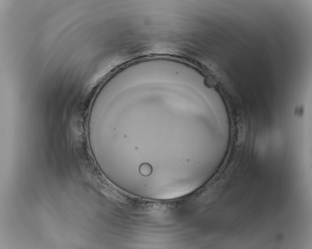 X0000113111266200909111107