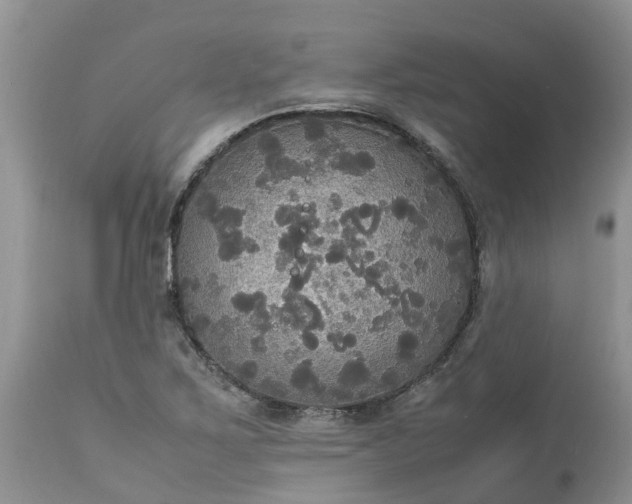 X0000113111267200909111107