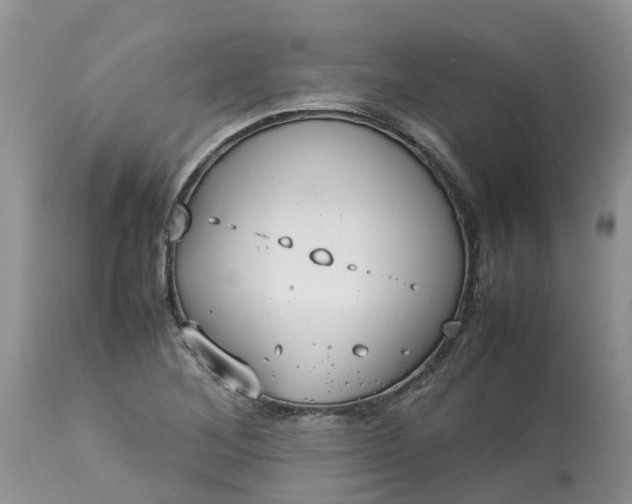 X0000113111268200909111107