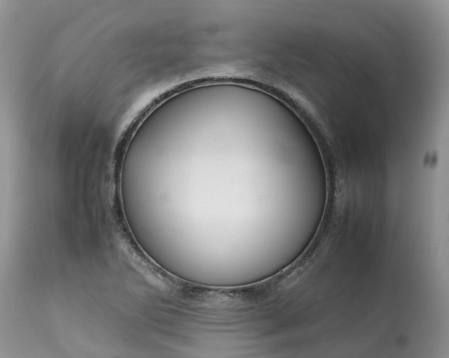 X0000113111270200909111107