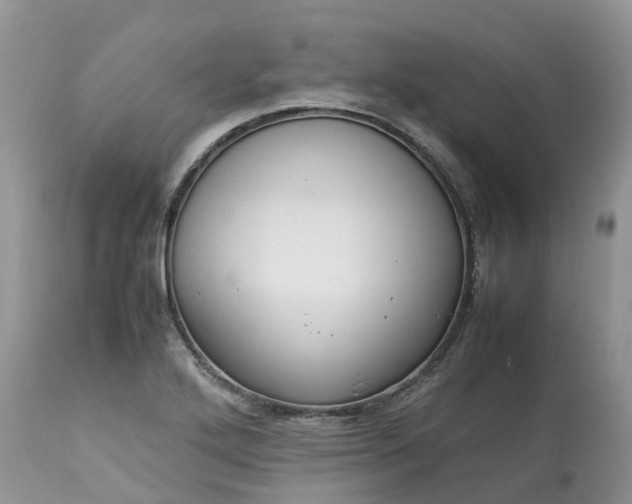 X0000113111272200909111107