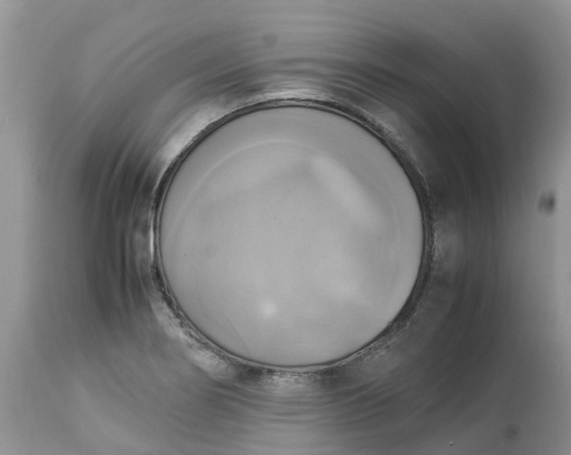X0000113111274200909111107