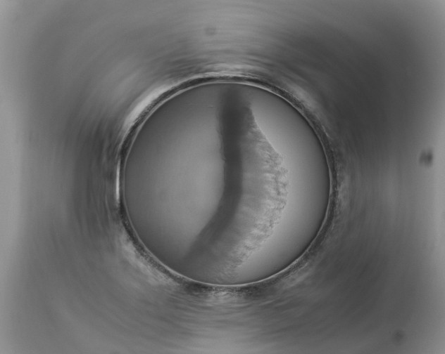 X0000113111275200909111107