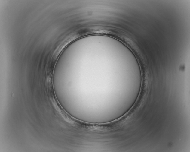 X0000113111281200909111107