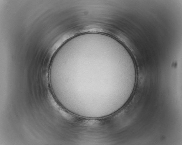 X0000113111282200909111107