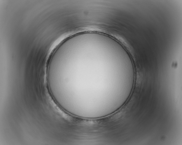 X0000113111286200909111107
