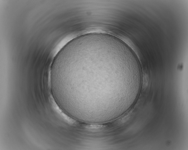 X0000113111290200909111107