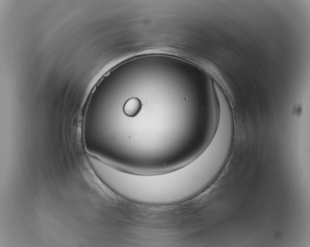 X0000113111292200909111107