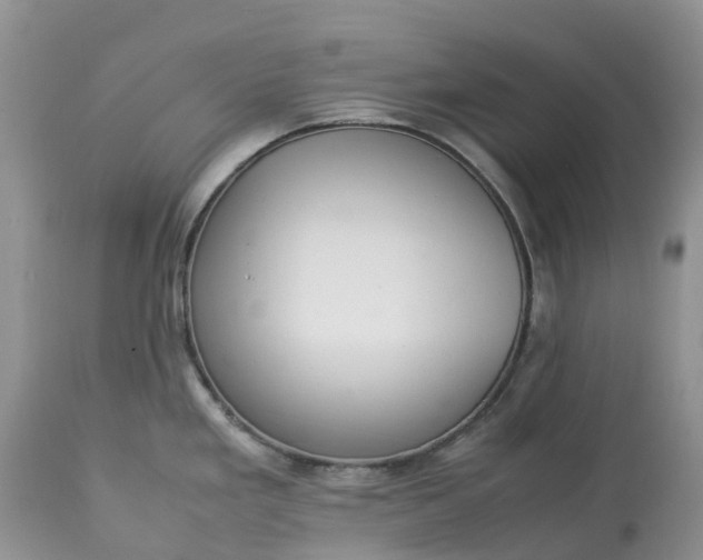 X0000113111293200909111107