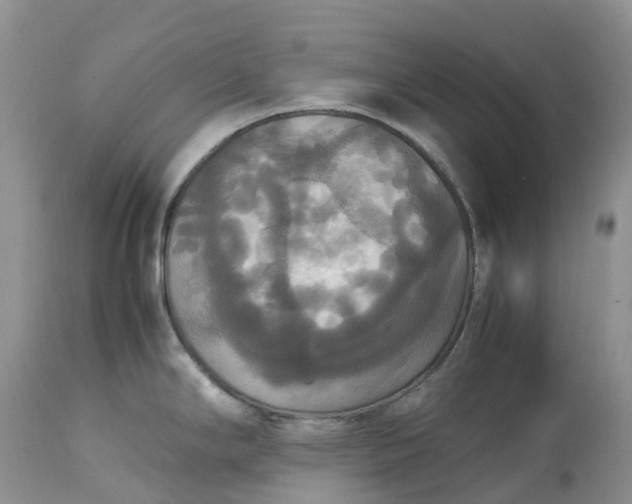 X0000113111294200909111107