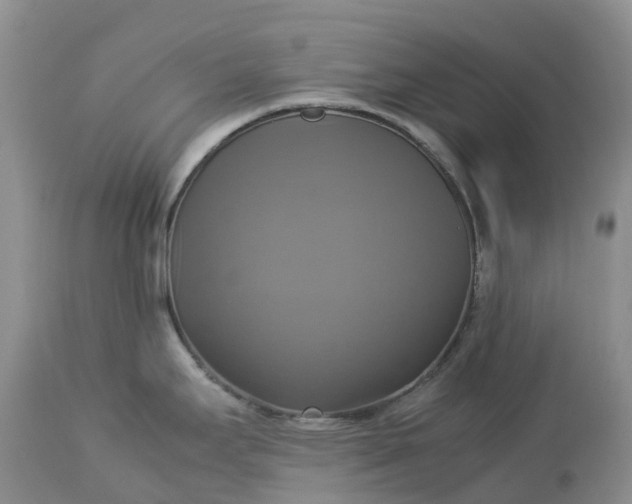 X0000113111295200909111107
