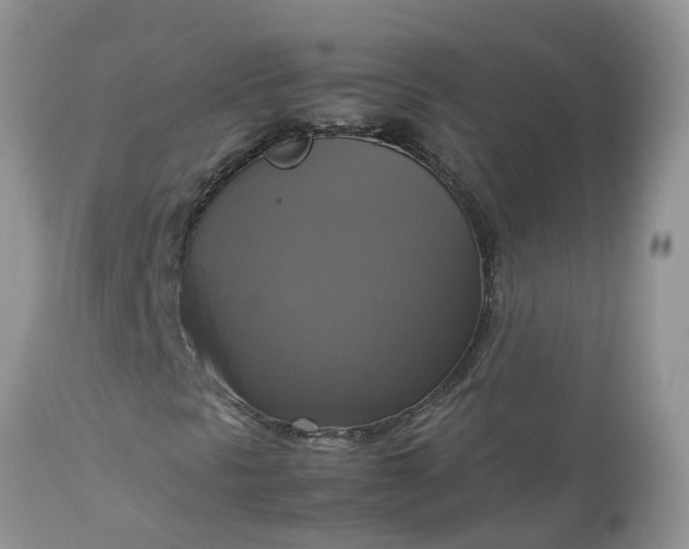 X0000113111297200909111106