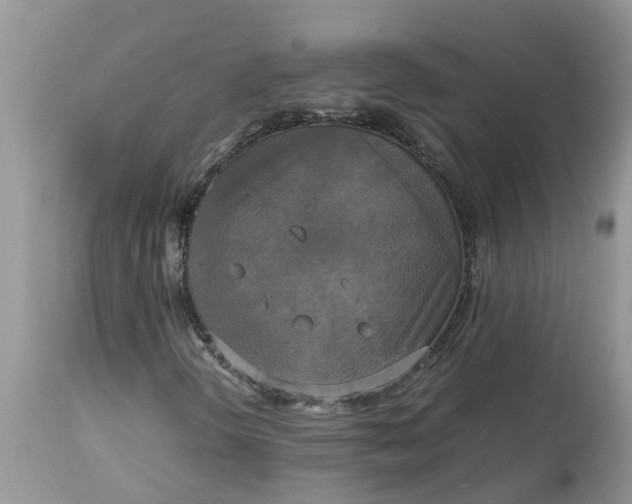 X0000113111298200909111106