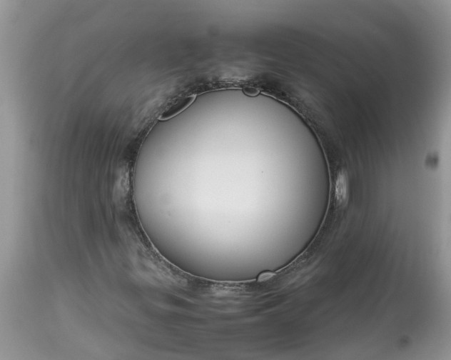 X0000113111299200909111106