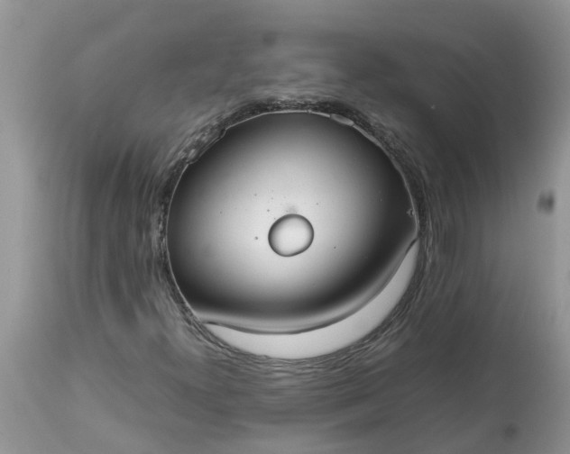 X0000113111300200909111106