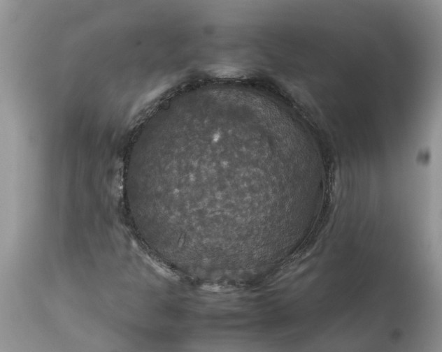 X0000113111301200909111106
