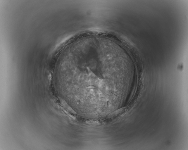 X0000113111302200909111106