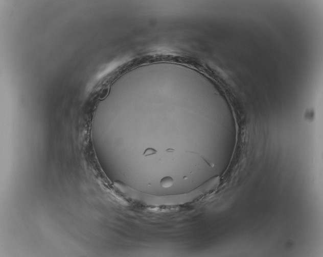 X0000113111303200909111106