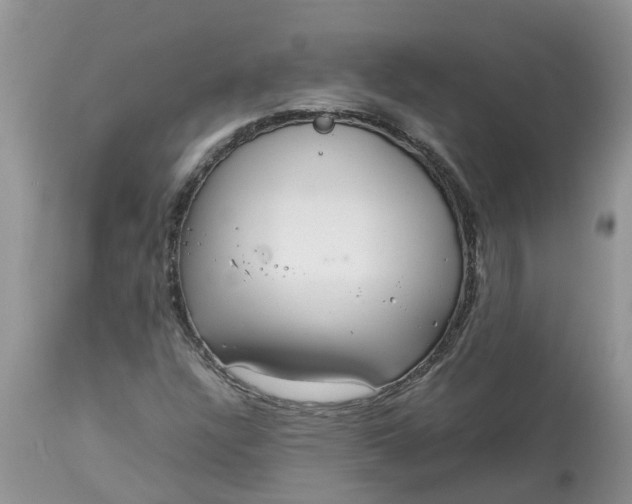 X0000113111304200909111106