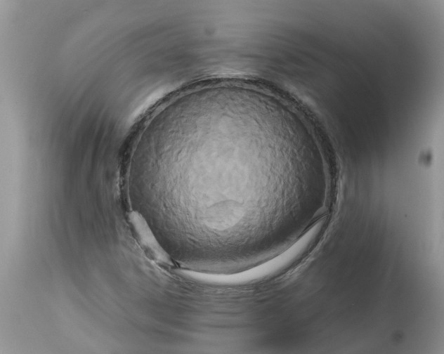 X0000113111306200909111106