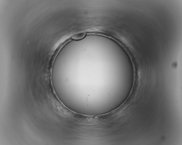 X0000113111308200909111106