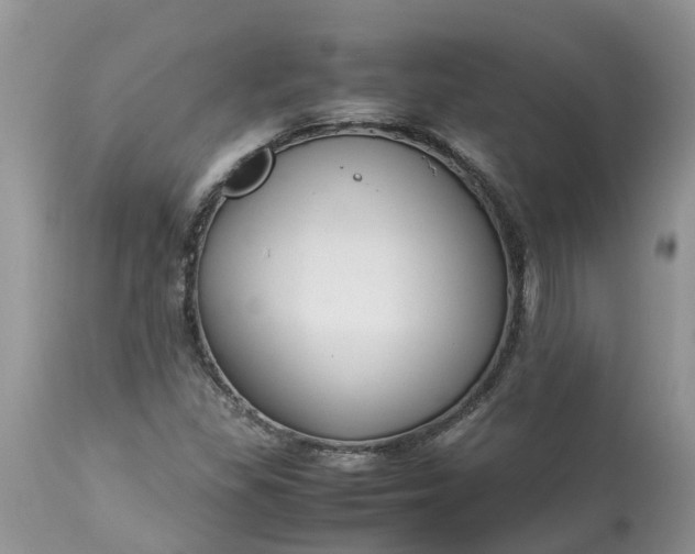 X0000113111309200909111106